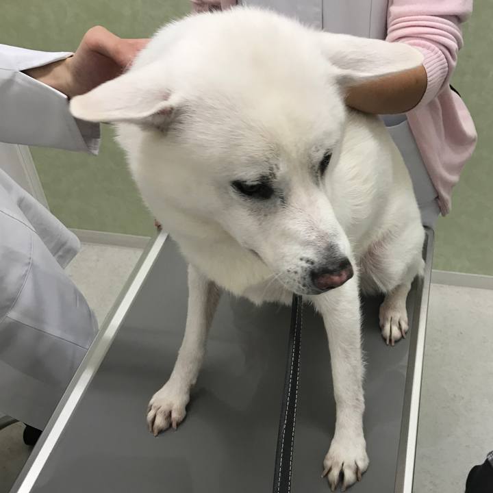 C9befabe c773 4c45 9507 45b543030771