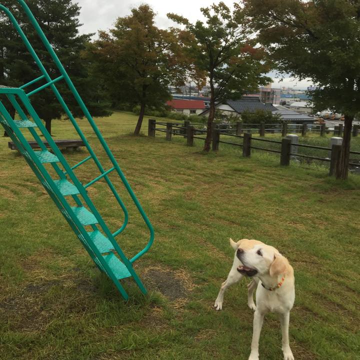 C9bf308f 7217 40f1 ae3a 0de099047024