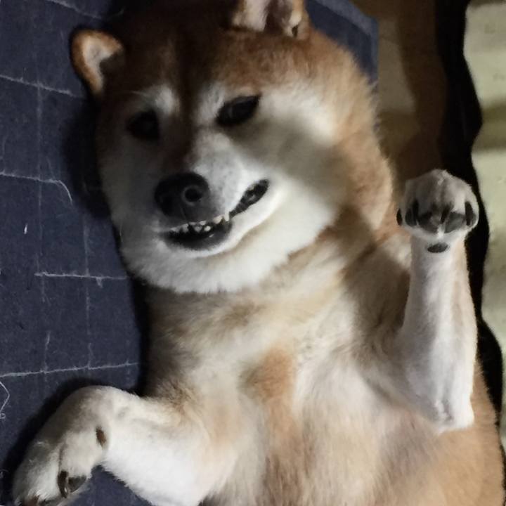 C9c01050 abfb 4972 b41c a5dc920ece23