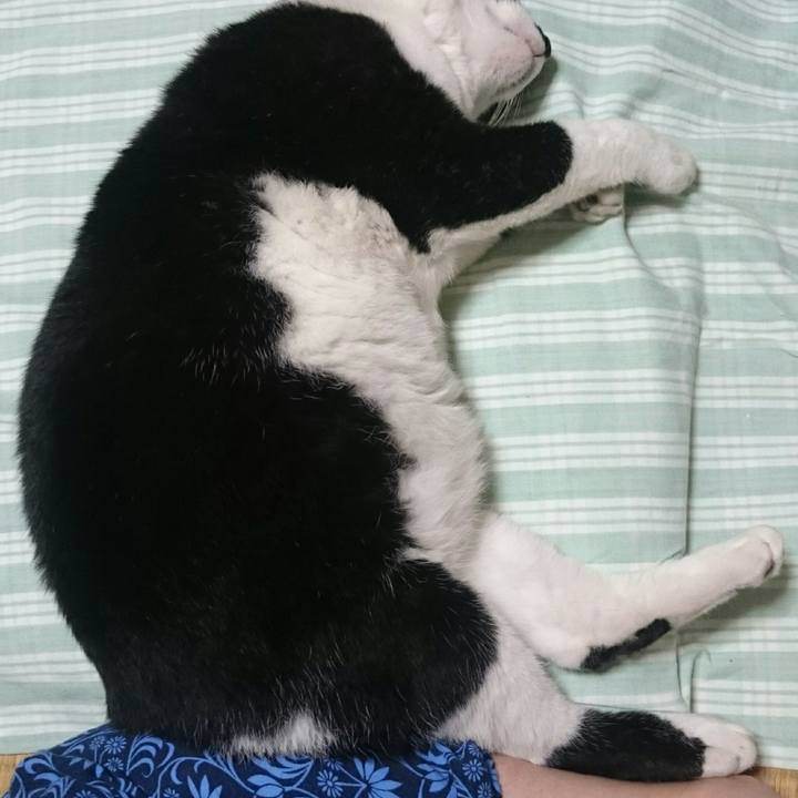 C9c03892 8d84 4f42 bd33 338f3a8ecf9f