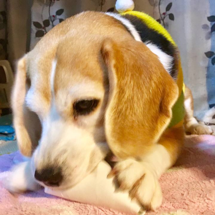 C9c09238 47b4 4c3c 9e14 47ea1bdae065