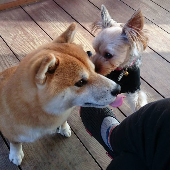 C9c135e2 0a34 4b0c ad38 00f1c113a1a2