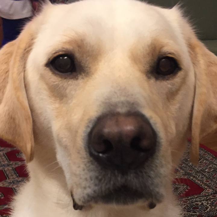 C9c23d45 7c96 4bb3 bc12 e3f1492d6fe3