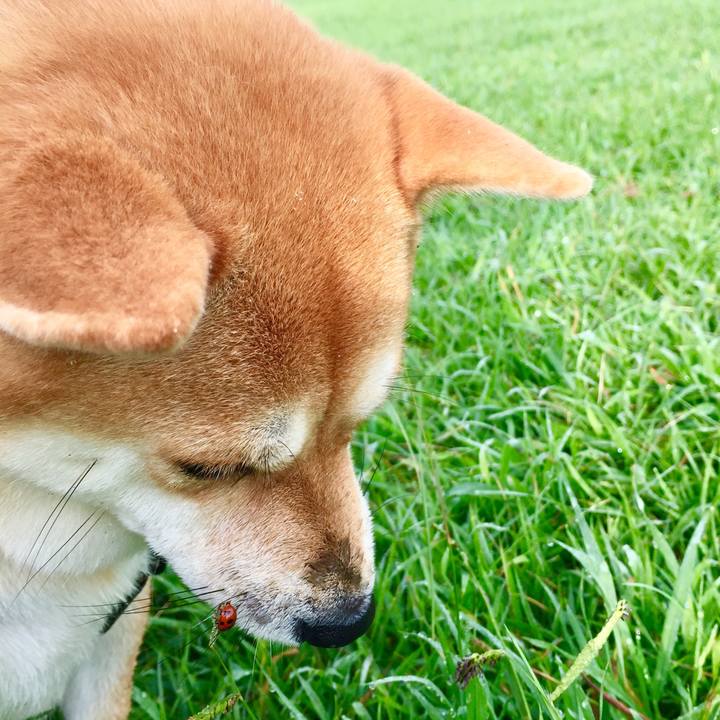 C9c2e2c6 62ac 4586 8290 f50ed4b9471b