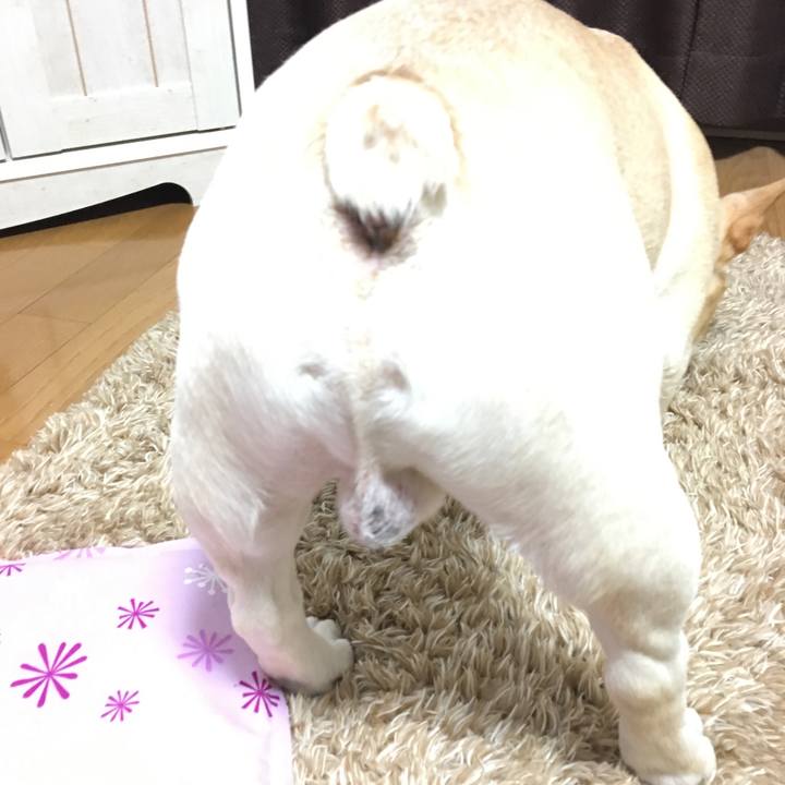 C9c30d08 f620 4d99 ac75 c382275d92e6