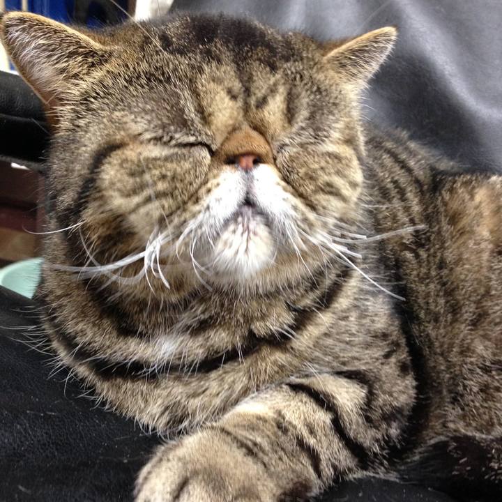 C9c36087 4521 40b8 b5ad af98cd53255b