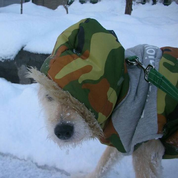 C9c40922 70a2 4bf5 9e55 bb72df5fa009