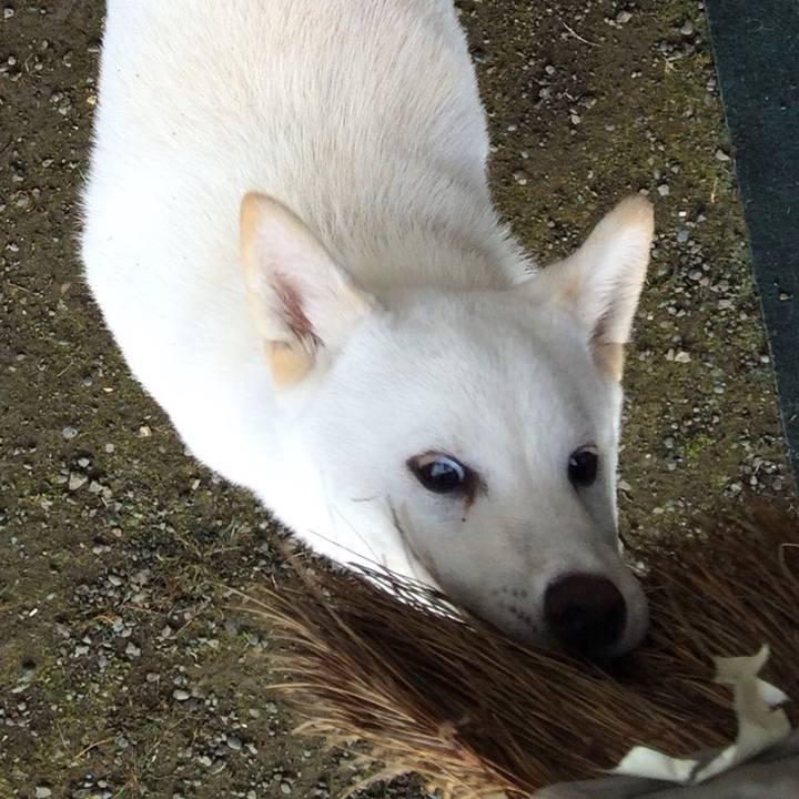 C9c439cf f0c9 4475 b298 d7697ba6d195