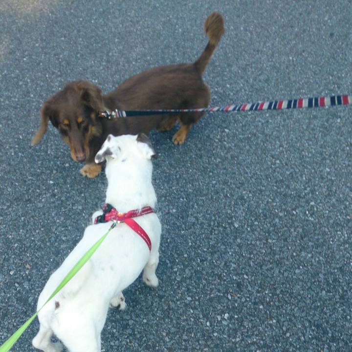 C9c526eb ac2b 4362 b100 830ab277f792