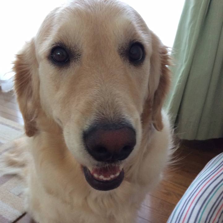 C9c555bc 0e62 48da 913d 904da3bf1a02