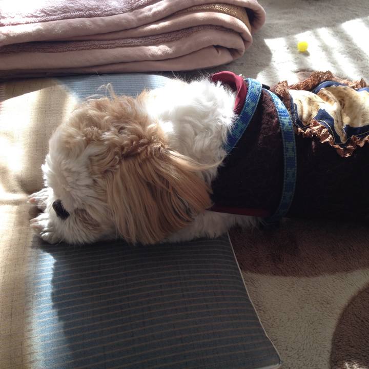 C9c5f7a5 7b9e 4592 a5bd a2f4708417e3