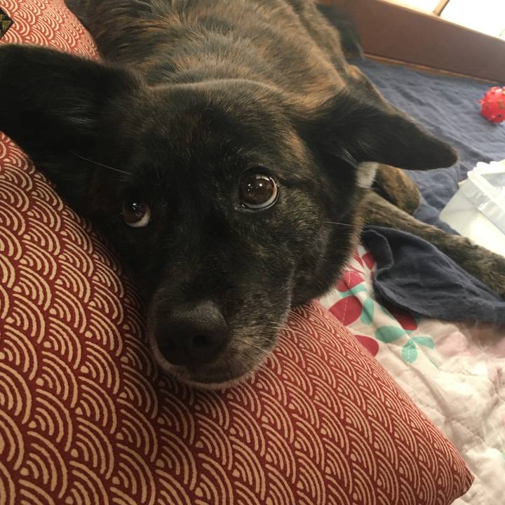 C9c6af64 cf25 426e b2a1 f68c66de6bd0