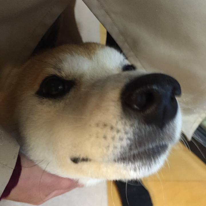 C9c6d584 5ed8 4234 b054 60d5b4b6e8ed