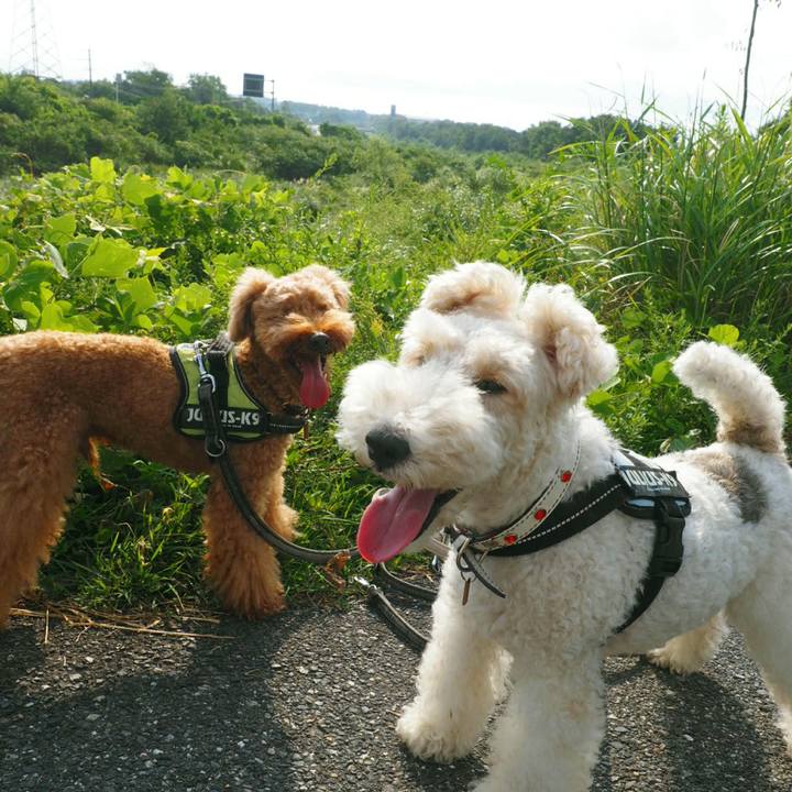 C9c70ef7 d467 42dc b6f4 2d8a45a303bf