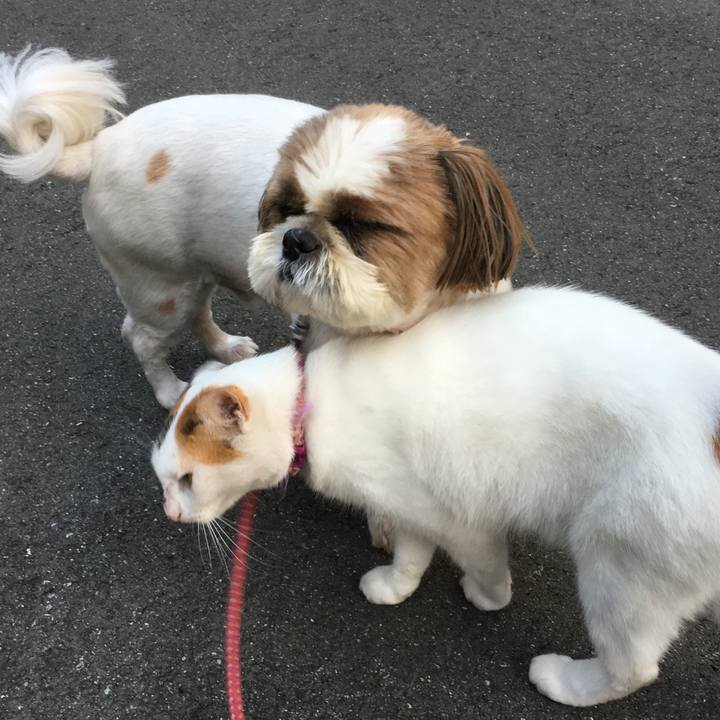 C9c75c61 709f 40fe 9013 66e03ff01ba6