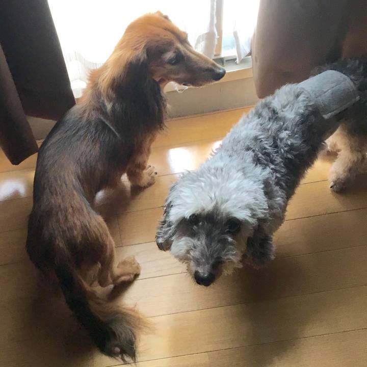 C9c770a0 8707 4ba2 b868 acbd3ac75425