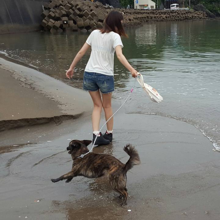 C9c7b755 edd2 440d 832d d5bc267631d9