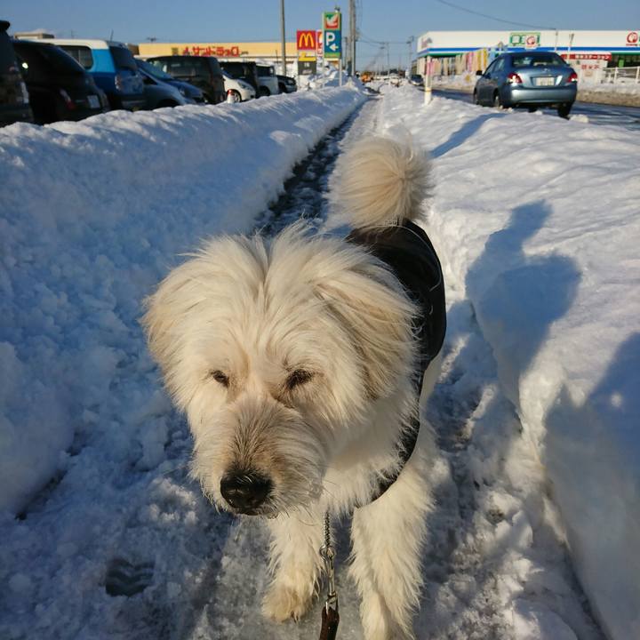 C9c80a29 cd2b 4dff 8b9a 78d147590427