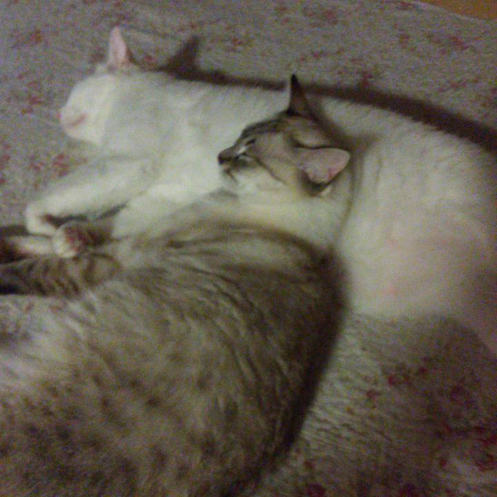 C9c8a51a 1465 4bf1 8290 55a281eedff2