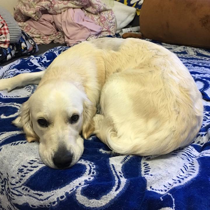 C9c8ebc3 f167 4d3c 8997 6111a9e7951e