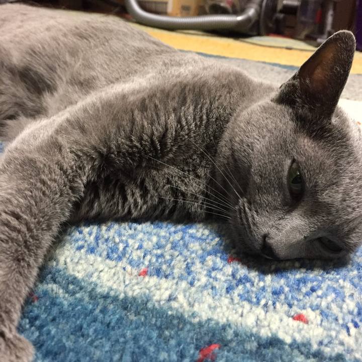 C9c90c78 b6d9 41fb 9c72 9cbee7cc9c85