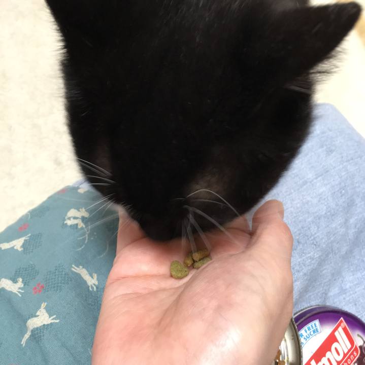 C9c94f30 4e38 4fad bd34 4db8822cf793