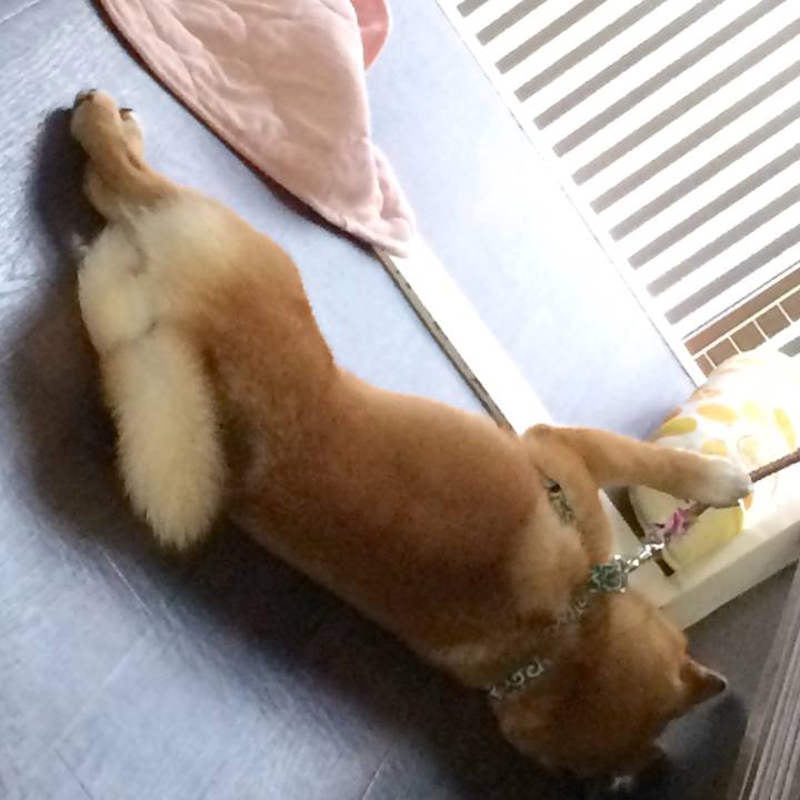 C9c95c47 5ef3 4797 b69d 4bba00cf6469