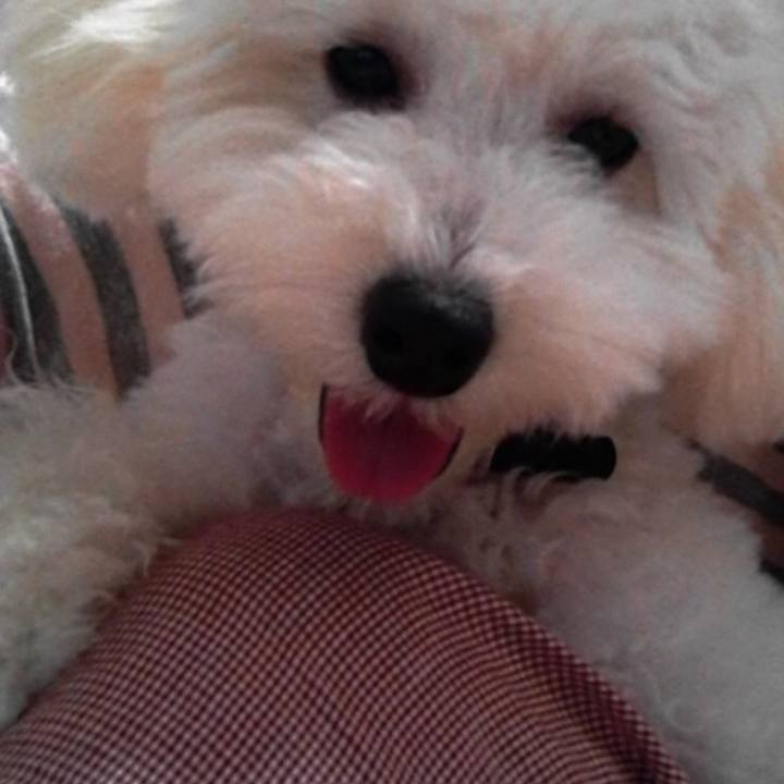 C9c9692d 4cc3 450f a68c 8fb1cc69d7ed