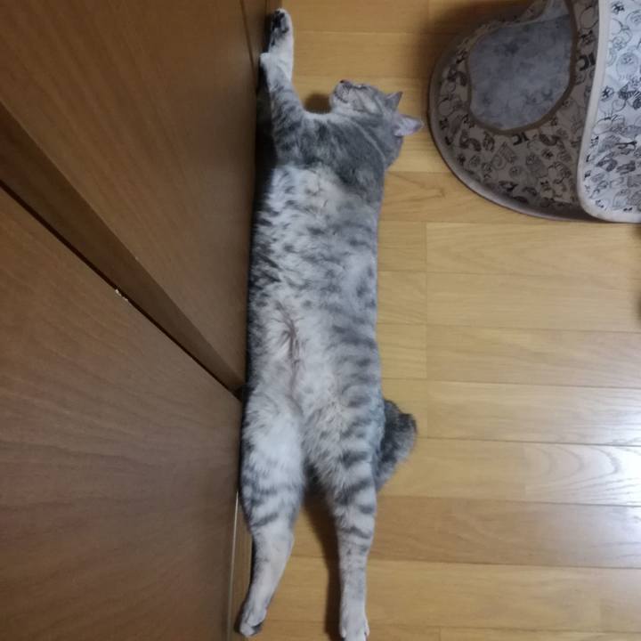 C9c991f1 0771 459f 8fe7 22c3d3751550