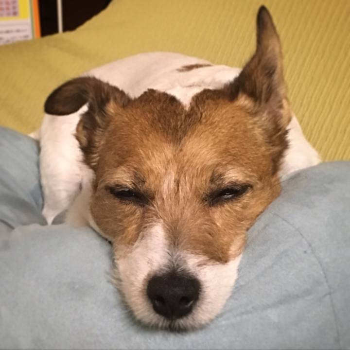 C9c9ab2c b959 4bb4 b31b 3c7e2dfbc3df