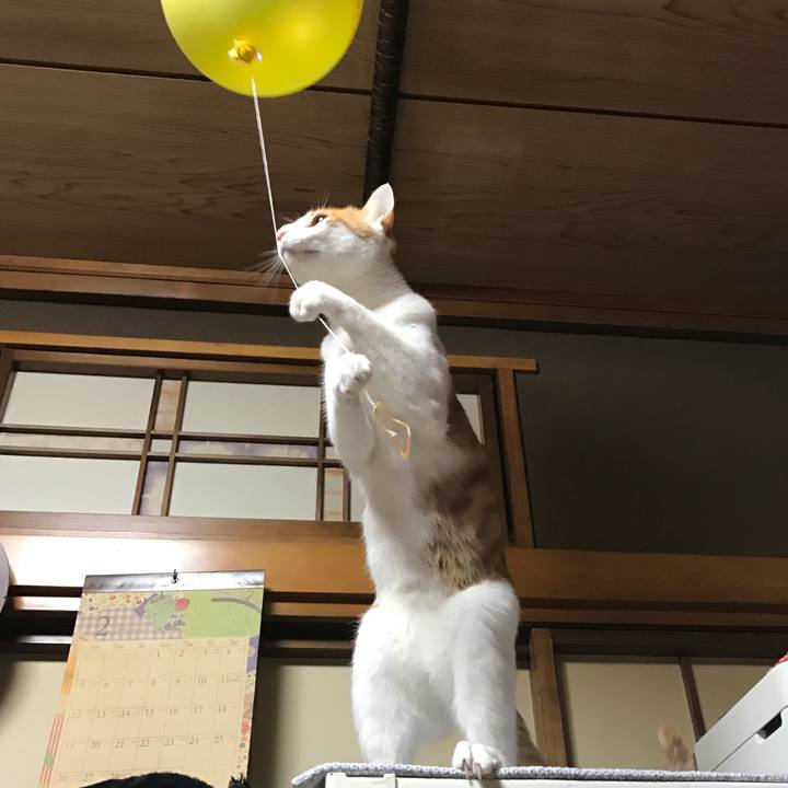 C9c9c2e5 2c67 4db2 b636 3325771e21ad