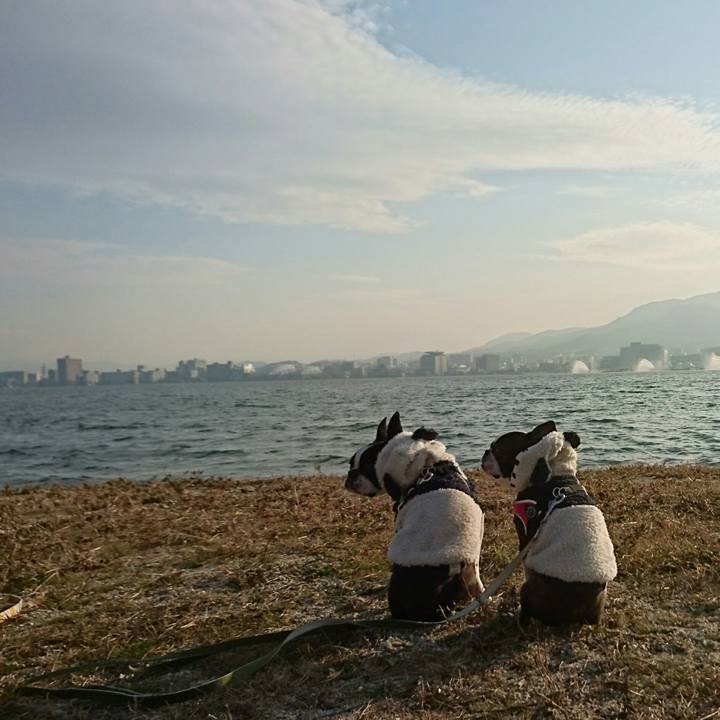 C9ca32f9 6a68 43f9 b78d fadf53235b30