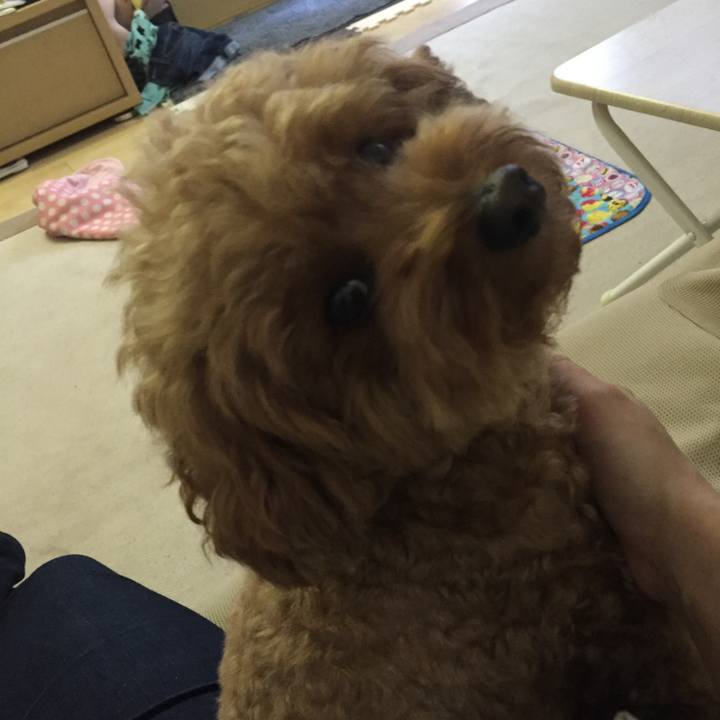 C9cc1278 8942 4b44 9ba4 5937508d29c8