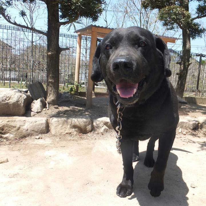 C9cc97ce b68d 49f5 936f 9bef1faee1f3