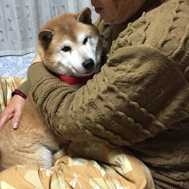 C9cd6ec0 0276 49d8 8d34 0978a0895032