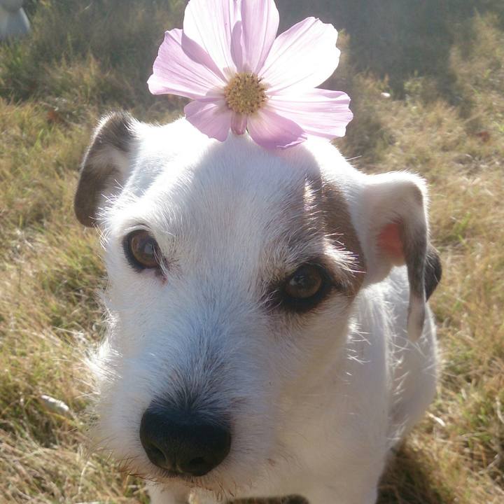 C9cea816 cb06 493b 8677 de7343eede2c