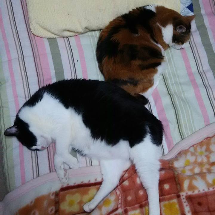 C9cfba7d b93b 4d3e a59c df21d69df004