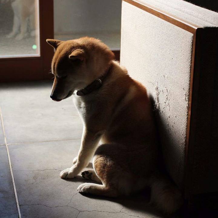 C9d03879 68a6 4c2d 8962 0dd6e24e39a7