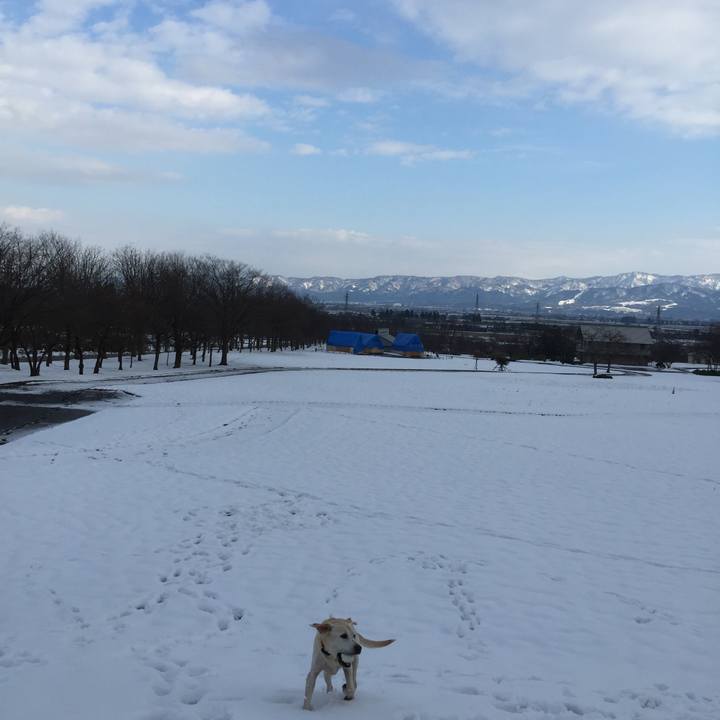 C9d1c9fc edf8 4438 916f bdfbe570dbfd