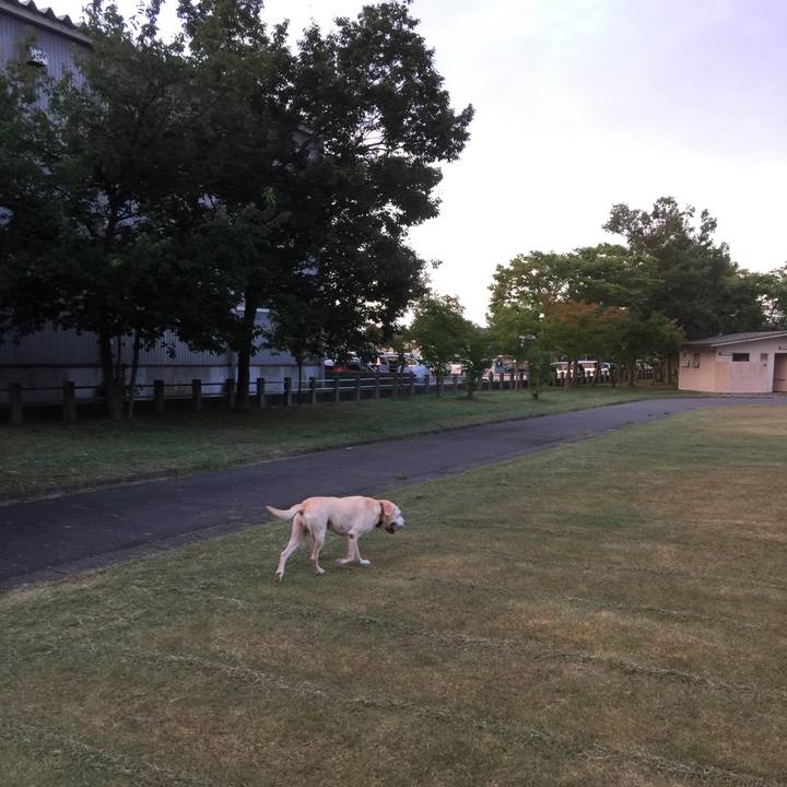 C9d20d6f f22a 46cd 9353 122d98670df5