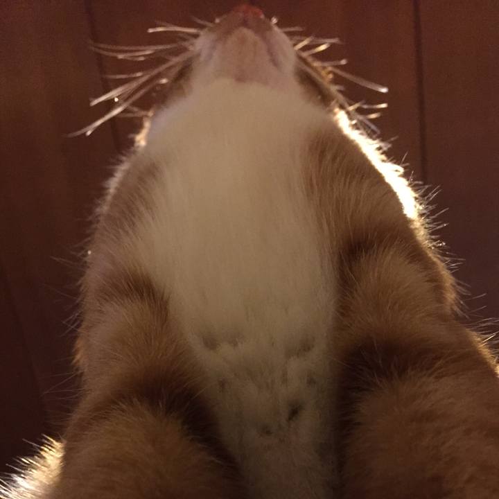 C9d23ed0 a323 4cc9 b7fc 5c6cf7ca07b2