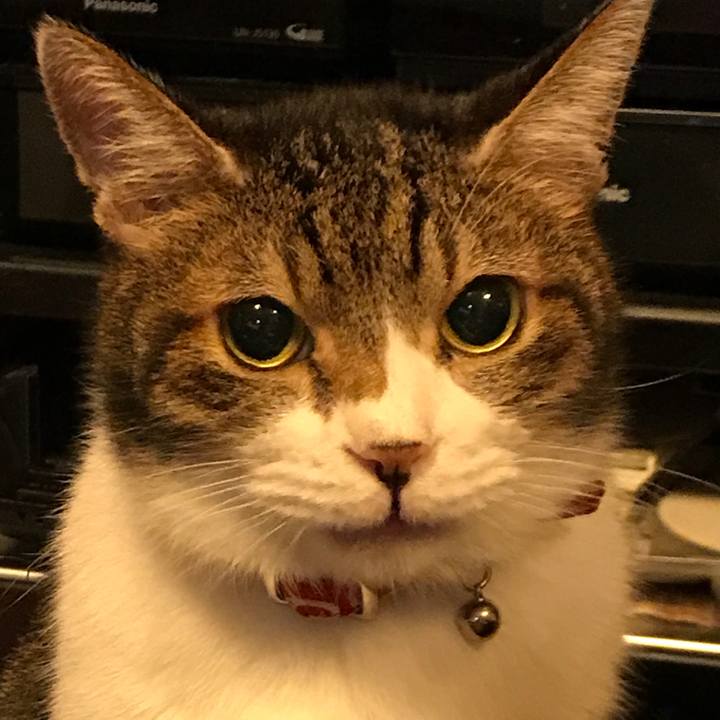 C9d2c311 2b05 44be 9f60 f8b18c8fcd8f