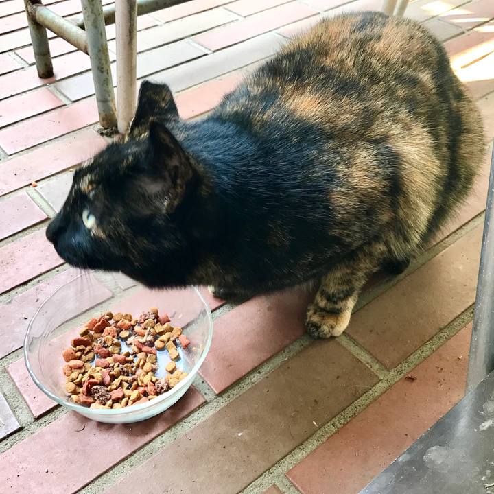 C9d2d5cc f9f3 4d50 8730 c6edcfc51839