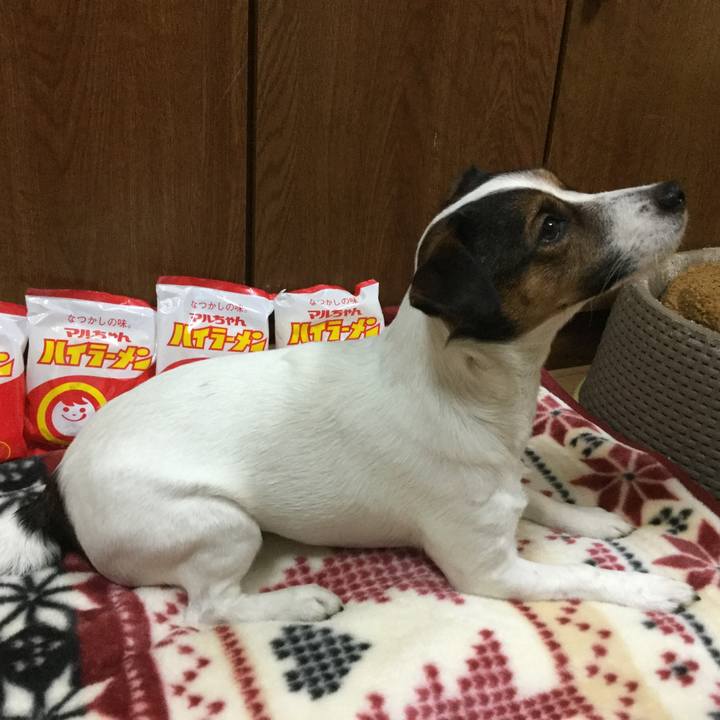 C9d2e4ea 567c 4431 993c 7c5b87bf19f0