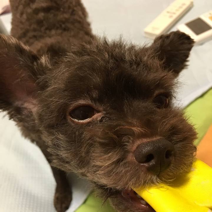 C9d32abb 704c 48d3 a77a b617372f3018