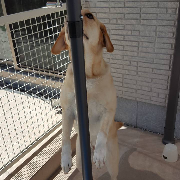 C9d4e17b 01c7 4d7c 81d6 312c90559546