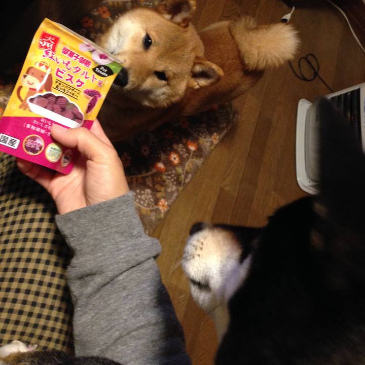 C9d5f871 e205 4ba2 9f9c 0be995244cf4