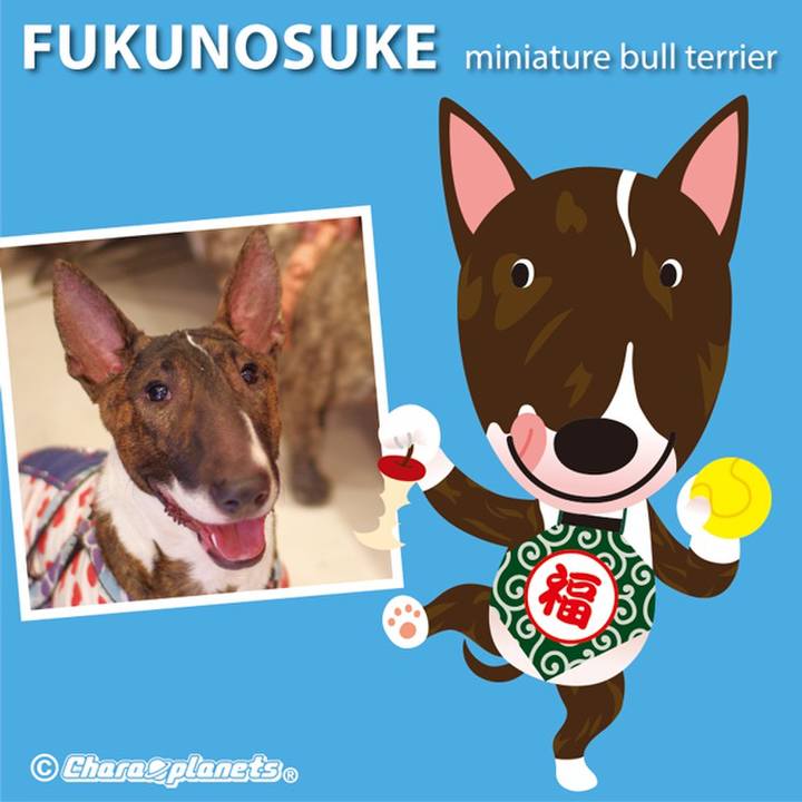 C9d6a371 2191 4704 8147 32b8803fb555