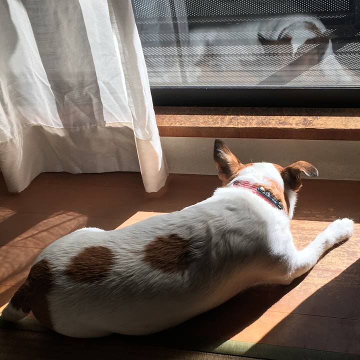 C9d6deb0 f870 46a8 b6c5 a0adebe7de29