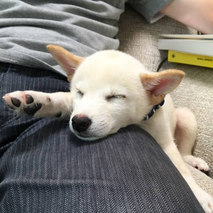 C9d7684b bea2 4297 a0b2 b67b4f8e59e3